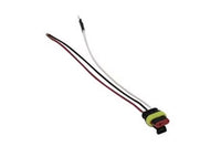 3-Wire Plug – AMP-3 Light Termination with Ring Terminal Ground