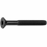 T30 Trailer Screw – 5/16in x 4in – Torx Drive