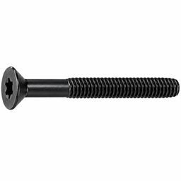 T30 Trailer Screw – 5/16in x 4in – Torx Drive